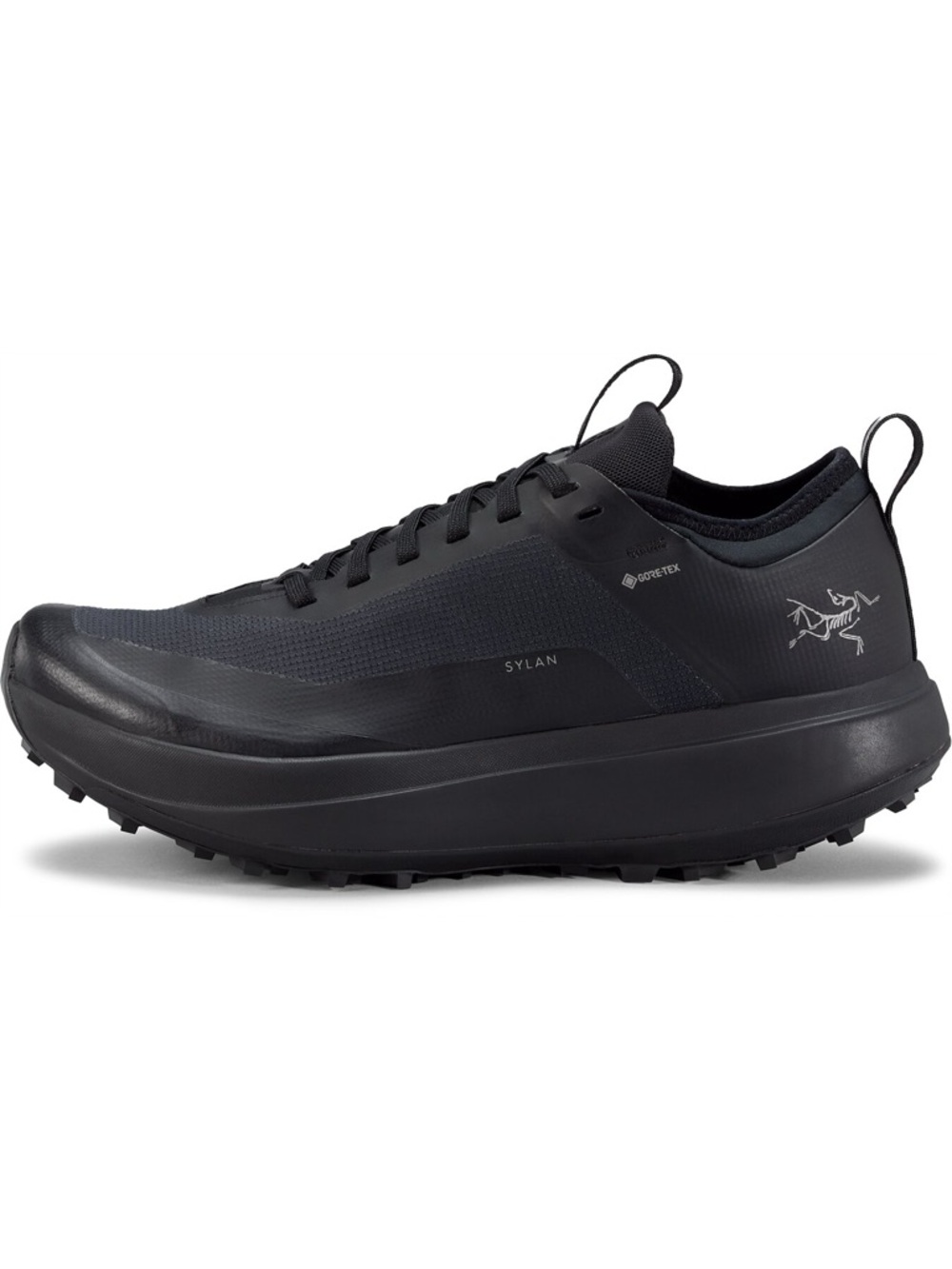 Arc'teryx Sylan GTX Shoe WOMENS
Black size 8